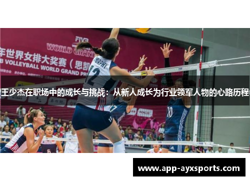 王少杰在职场中的成长与挑战：从新人成长为行业领军人物的心路历程