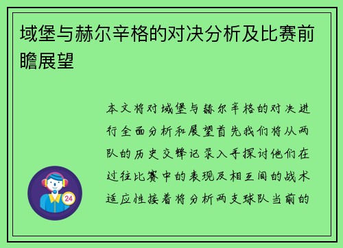 域堡与赫尔辛格的对决分析及比赛前瞻展望